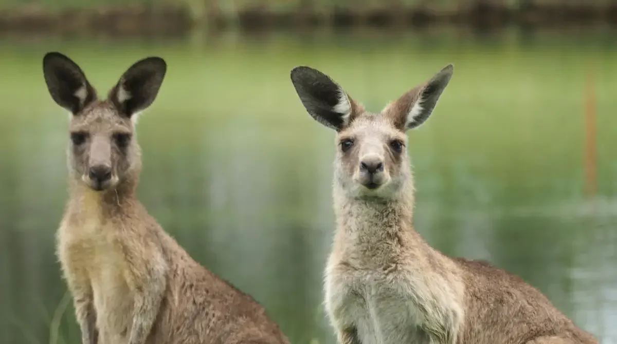 Essential Tips for Planning a Smooth and Stress-Free Trip