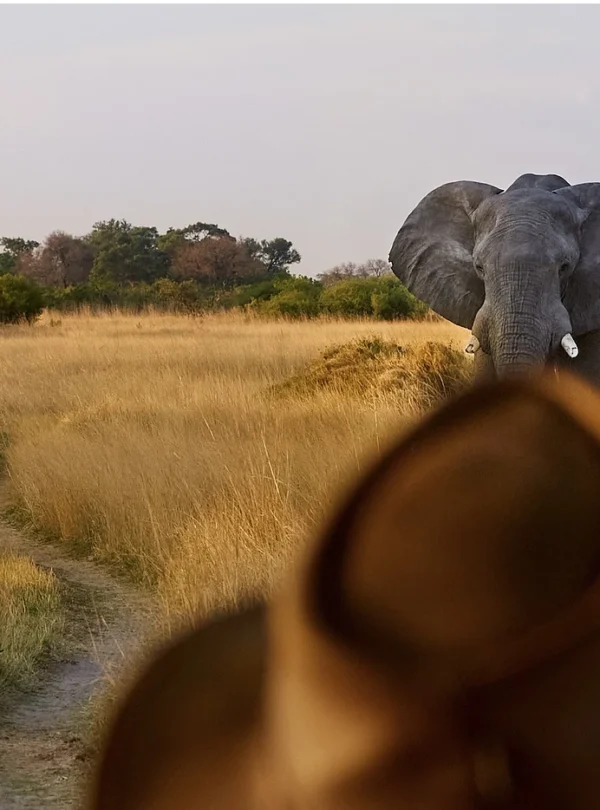 botswana-vaido-otsar-crop-2 (1)